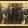 The Flume, from above (near view of Hanging Boulder).