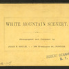 The Flume, from above, near view of hanging boulder, Franconia Notch, N.H.