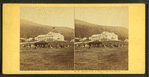 Haying scene in front of the Glen House.