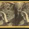 Cascade in the Flume.
