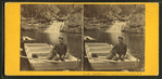 The philosopher of the Pool, Franconia Notch, N.H.