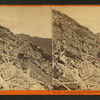 Looking up Mt. Washington Carriage Road, near Half-Way House, N.H.