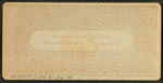 View in Bethlehem, N.H.