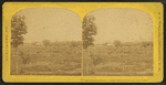 View from Prospect House, Bethlehem, N.H.