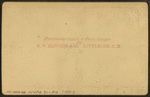 Bellevue House, Bethlehem, N.H.
