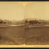 Hay making Maplewood Farm, N.H.