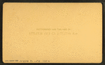 Mt. Agassiz, Bethlehem, N.H.