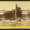 Livermor's Bridge, Campton, N.H.