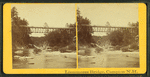 Livermor's Bridge, Campton, N.H.
