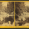 Beebe's Cascade, Campton, N.H.