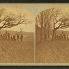 Group of people in the park, Concord, N.H.