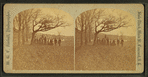 Group of people in the park, Concord, N.H.