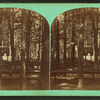 Pulpit of Auditorium, Campground, Epping.