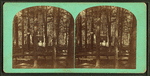 Pulpit of Auditorium, Campground, Epping.