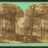 Wesley Park, Upper level.
