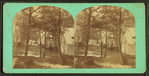 Wesley Park, Upper level.