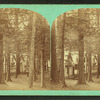 S.W. side of Circle.