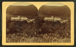 Fabyan House, White Mts.