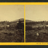 White Mts. from Carroll.