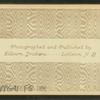 Twin Mountain House, Carroll, N.H.