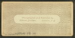 Twin Mountain House, Carroll, N.H.