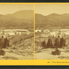 Twin Mountain House, Carroll, N.H.