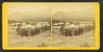 Twin Mt. House, Carroll, N.H.