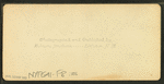Twin Mtn. House, Carroll, N.H.