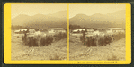Twin Mtn. House, Carroll, N.H.