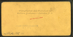 Twin Mountain House, Carroll, N.H.