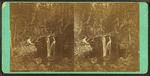 Cascade on Crystal Stream, White Mts. N.H.