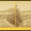 Glen House, White Mountains.