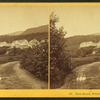 Glen House, White Mountains.