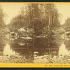 Emerald Pool, near Glen House, N.H.