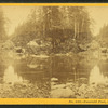 Emerald Pool, near Glen House, N.H.