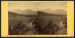 Mt. Adams and Madison, from near Glen House, N.H.