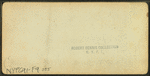 Mts. Adams and Madison, from near Glen House, N.H.