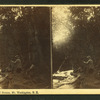 Looking down, Crystal Stream, Mt. Washington N.H.