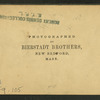 Bear at the Glen House, White Mountains, N.H.
