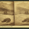 Bear at the Glen House, White Mountains, N.H.