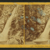 Glen Ellis Falls, White Mountains.