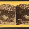 Snow Cave, White Mountain, N.H.
