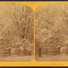 Winter scene.