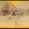 Landscape, Winter.