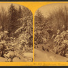 Landscape, Winter.