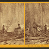 Making maple sugar.