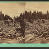 Jams of logs on the Androscoggin River, No.