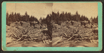 Jams of logs on the Androscoggin River, No.