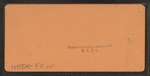 Thompson's Cascades, White Mountains, N.H.