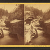 Lower Falls of the Ammonoosuc.
